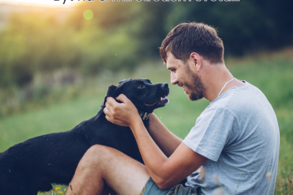 WORKSHOP "I KDYŽ RUŠÍ SVĚT, TY MŮŽEŠ BÝT STŘED! - Základní Kurz