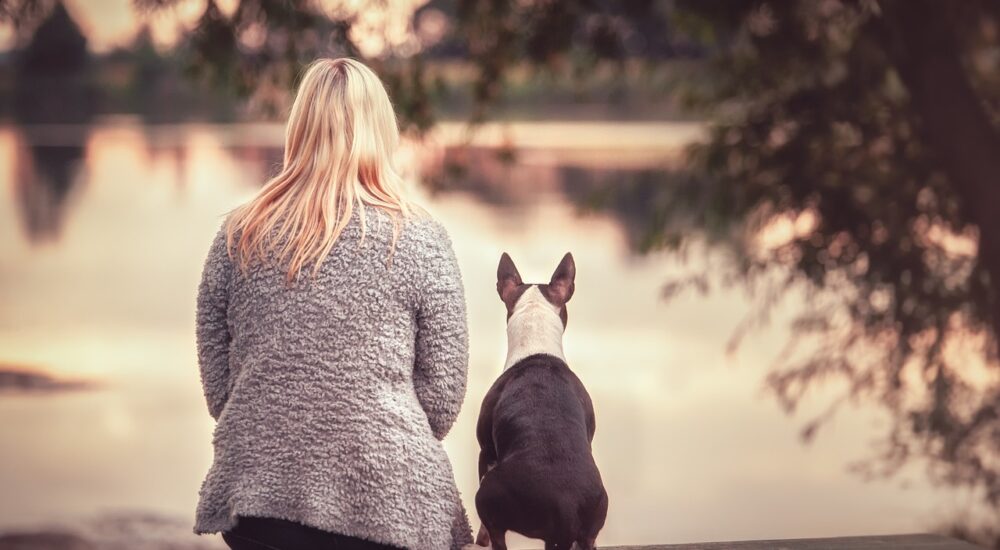 Někdy Je účinnější Se Psem Jen Být, Než Se Hodně Snažit.