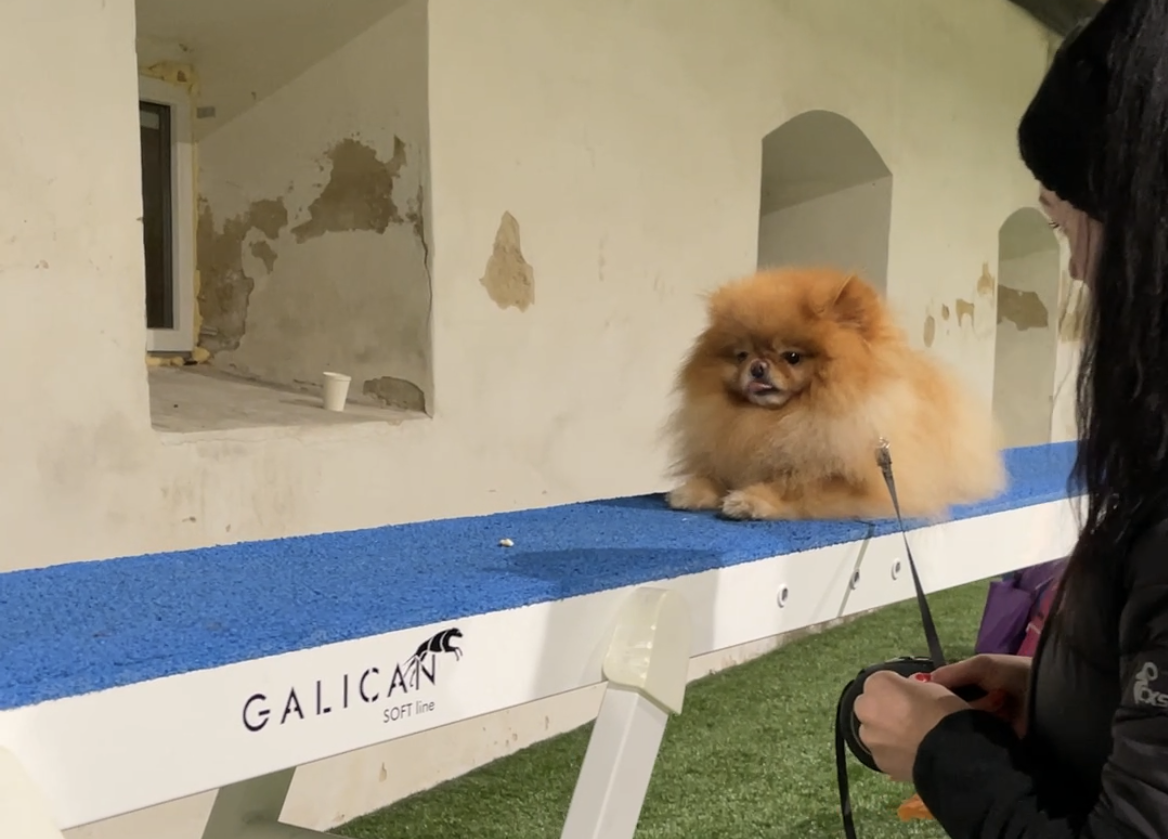 OTEVŘENÁ LEKCE PRO VEŘEJNOST